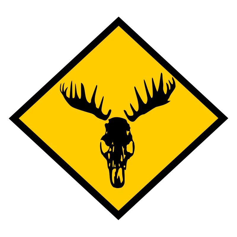 Moose Skull