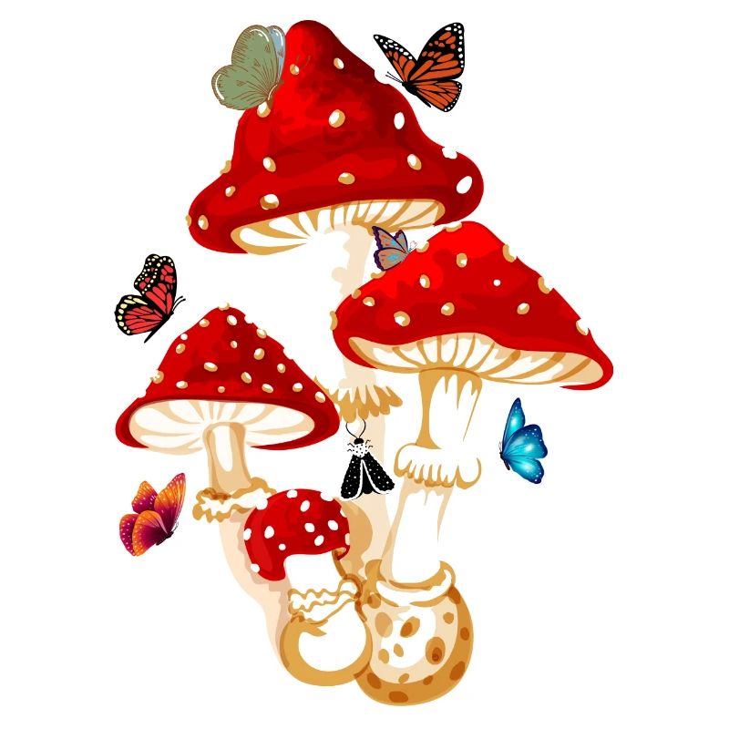 champignon papillon