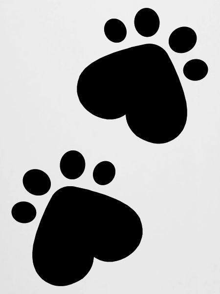 Paws