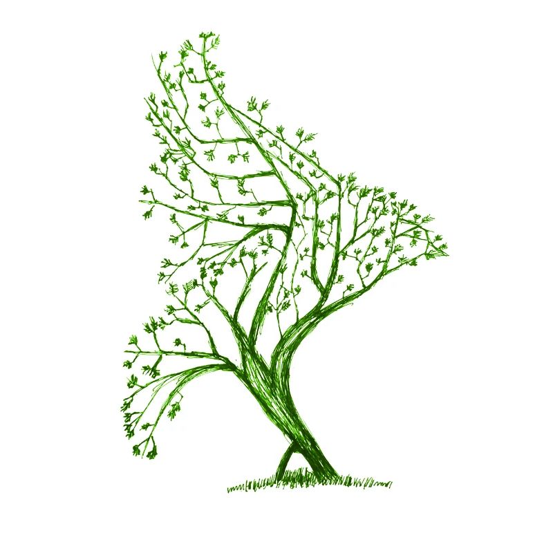 Tree Bird Shape