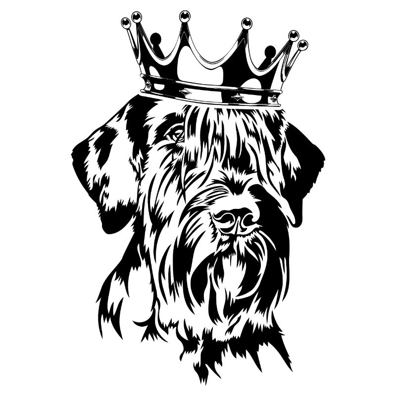 Schnauzer géant couronne chiens chiens Wilsigns
