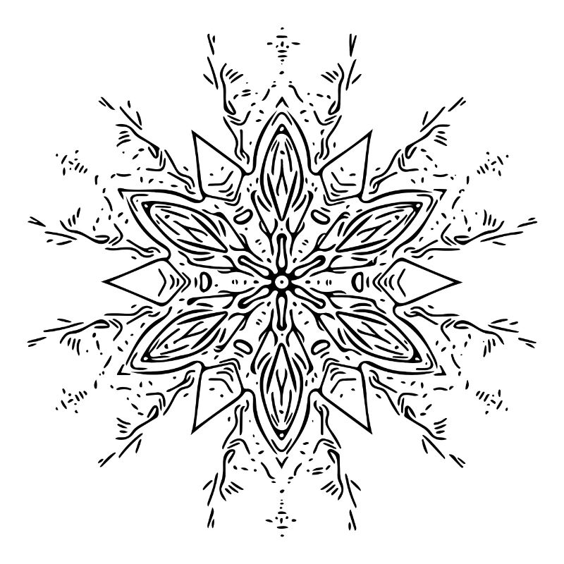 Mandala Flower Pattern Lines Abstract Form
