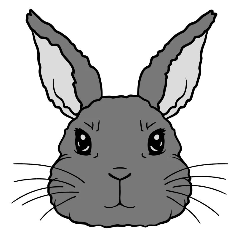Niedlicher kleiner Hase Gesicht
