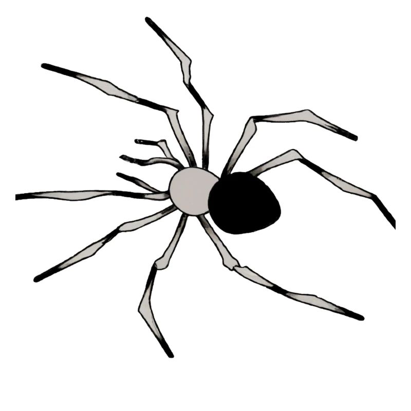 araignée Illustration