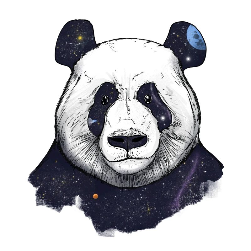 Weltraum-Panda