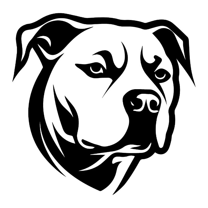 Pitbull