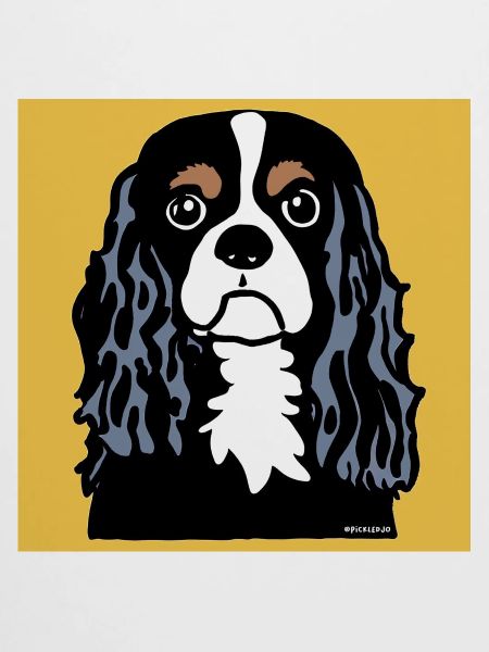 Cavalier King Charles Spaniel Doodle