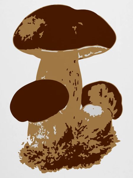 Pilz
