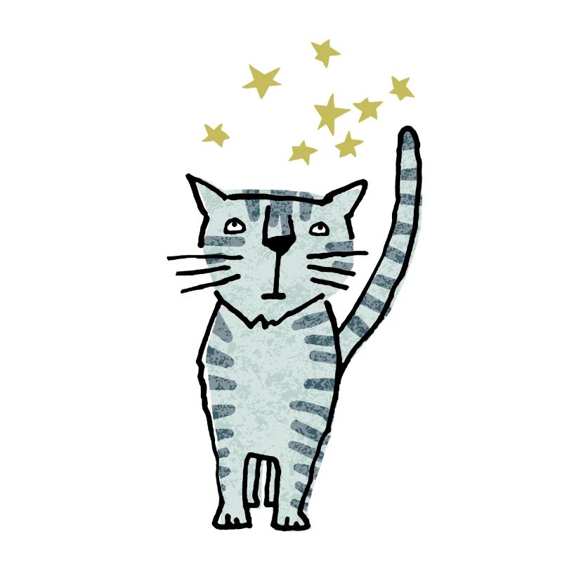 Katze
