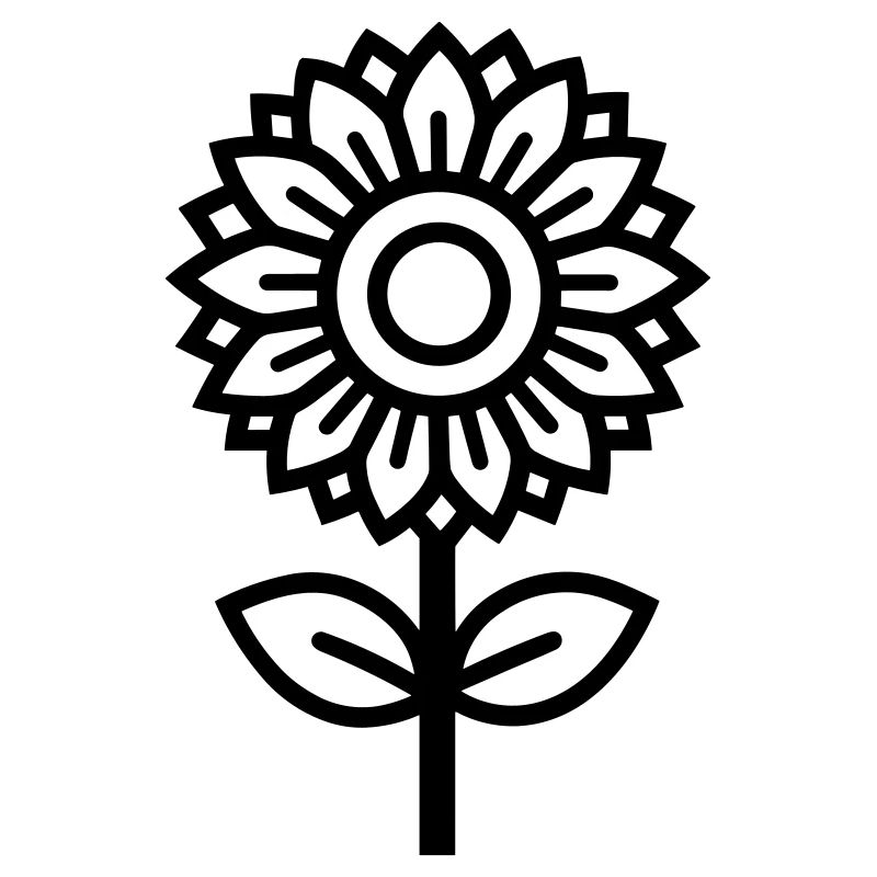 Sonnenblume