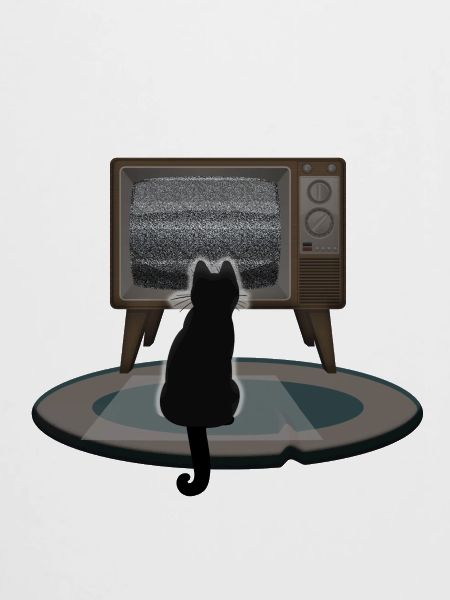 Poltergeist Katze