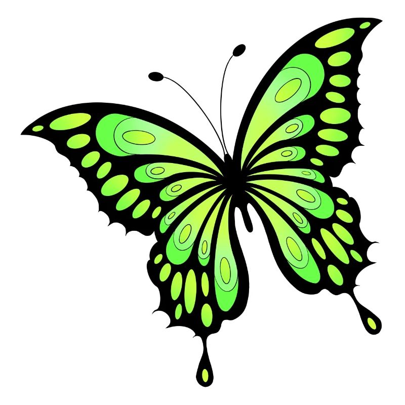 Schmetterling