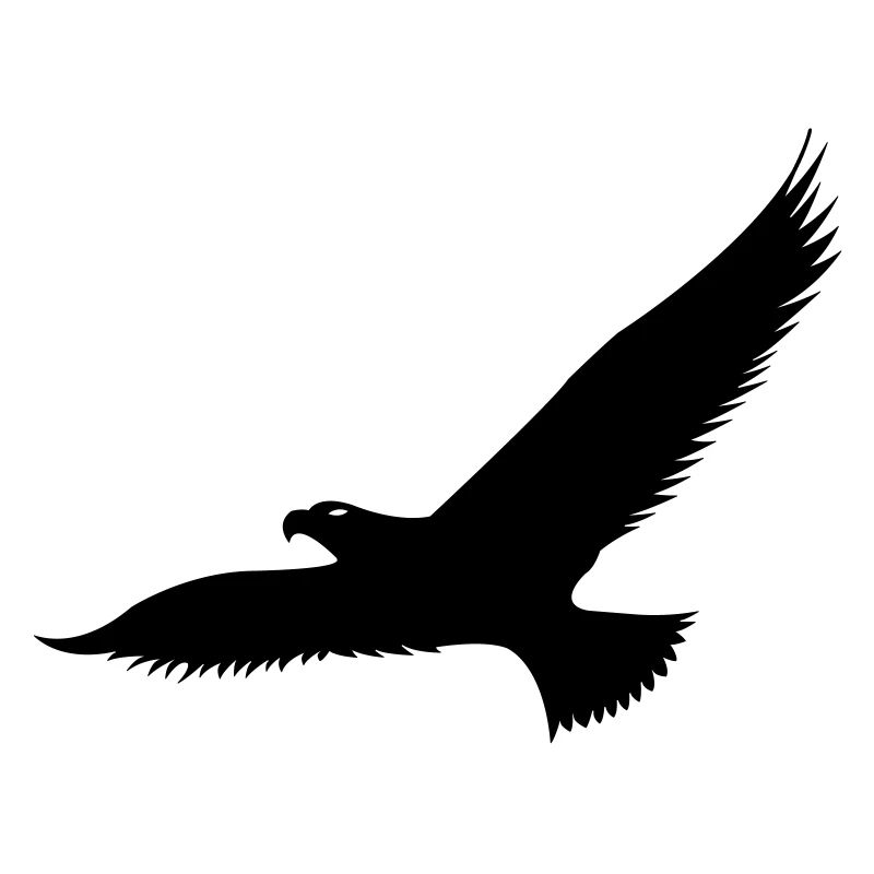 adler2