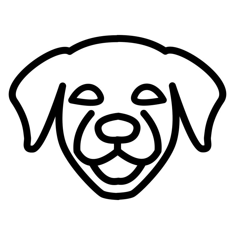 Chien