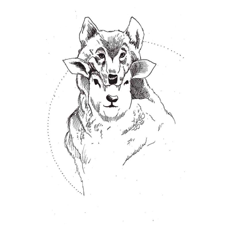 Schaf und Wolf