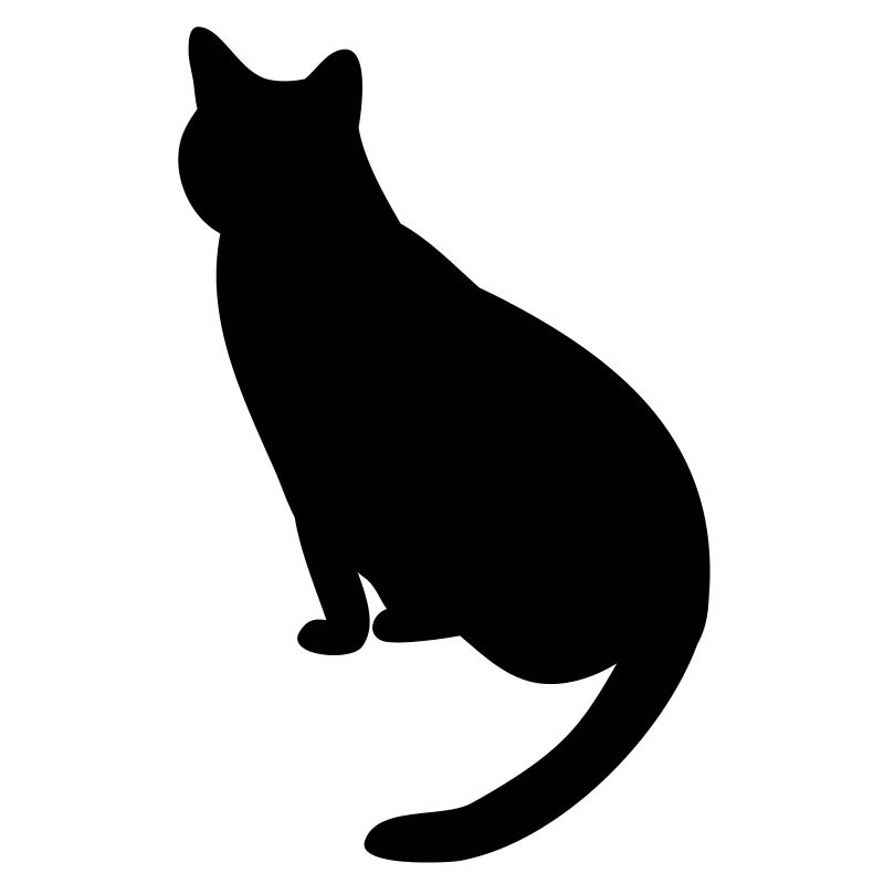 Katze