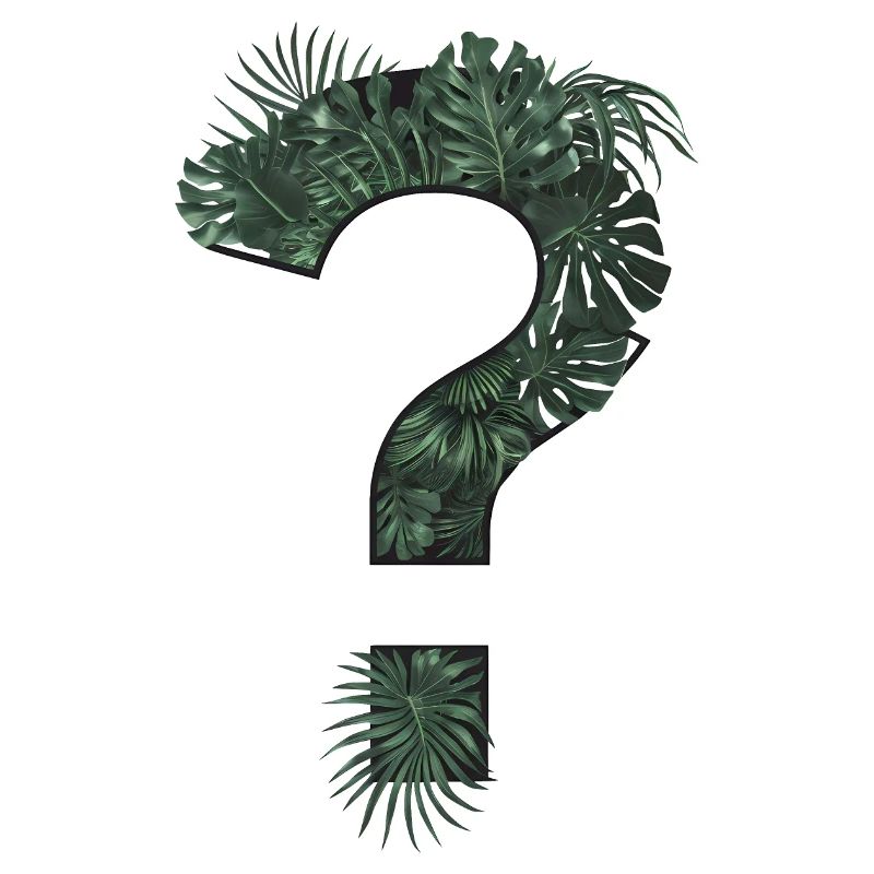 Point d’interrogation plantes tropicales