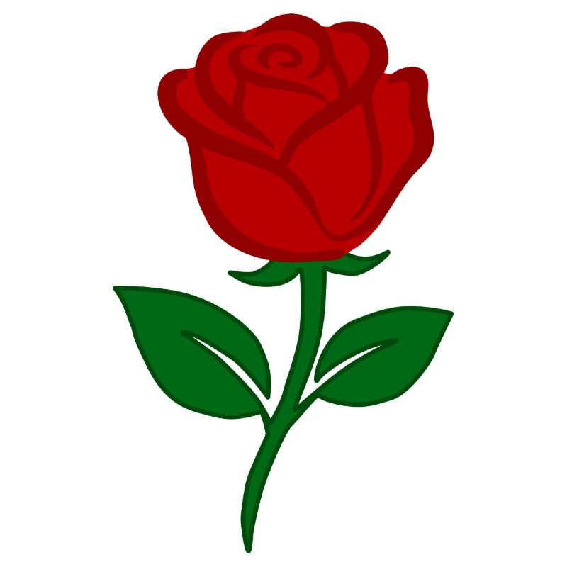 Rote Rose