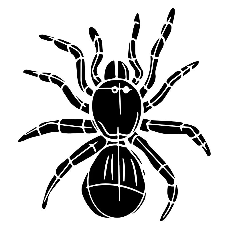 spider