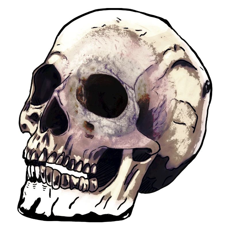 Skull Dimension