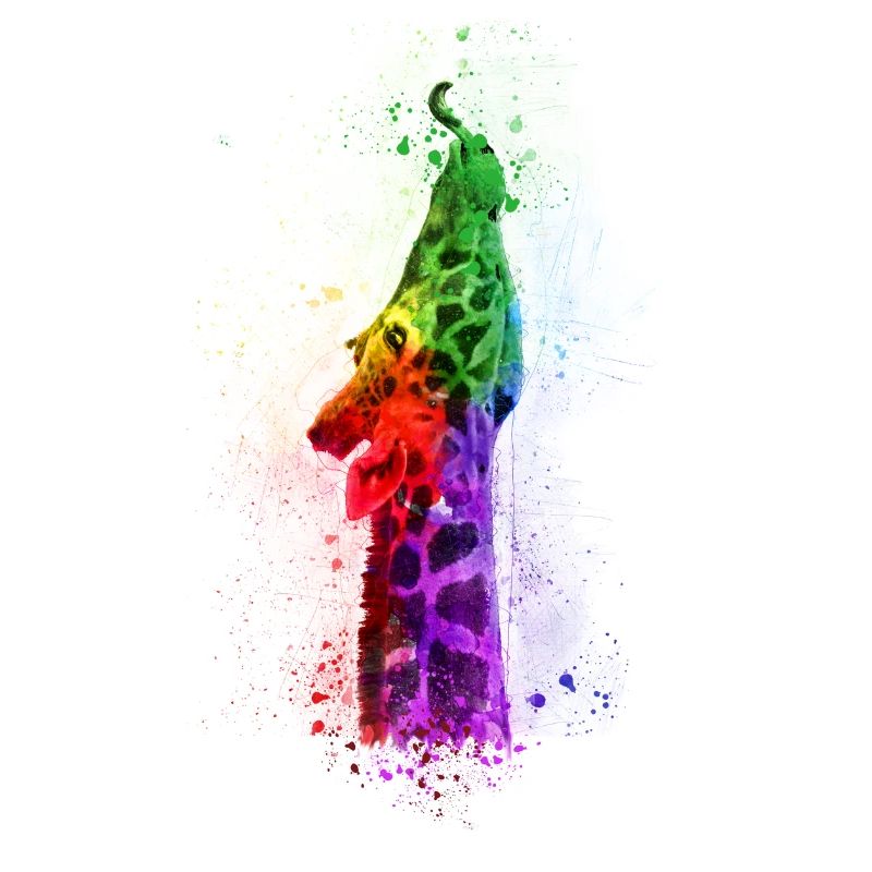 Multicolour Giraffe