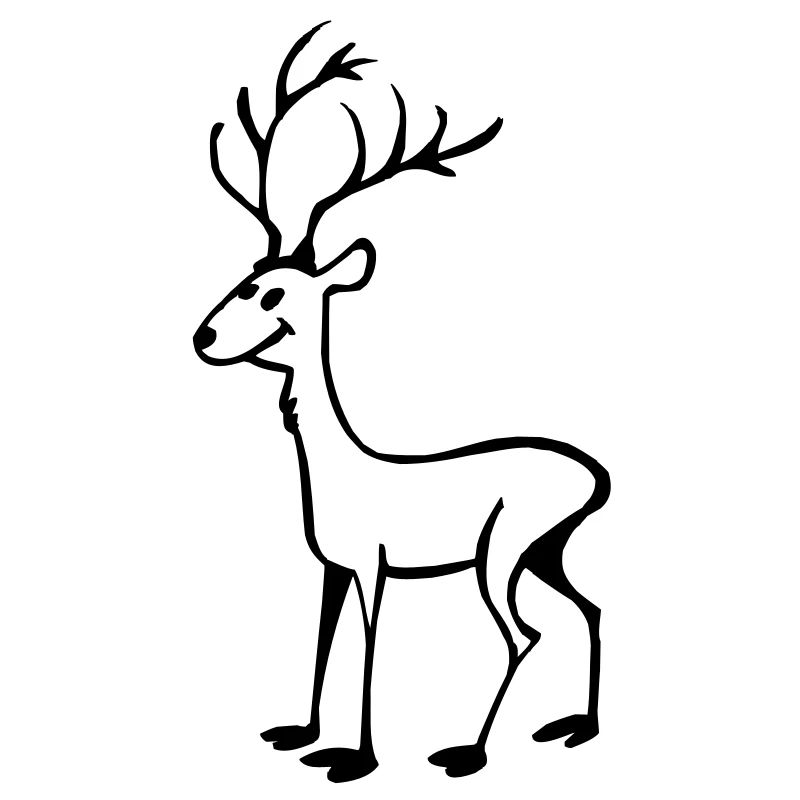 Ligne Hirsch