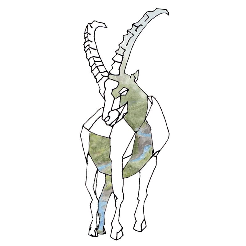 Polygon Capricorn