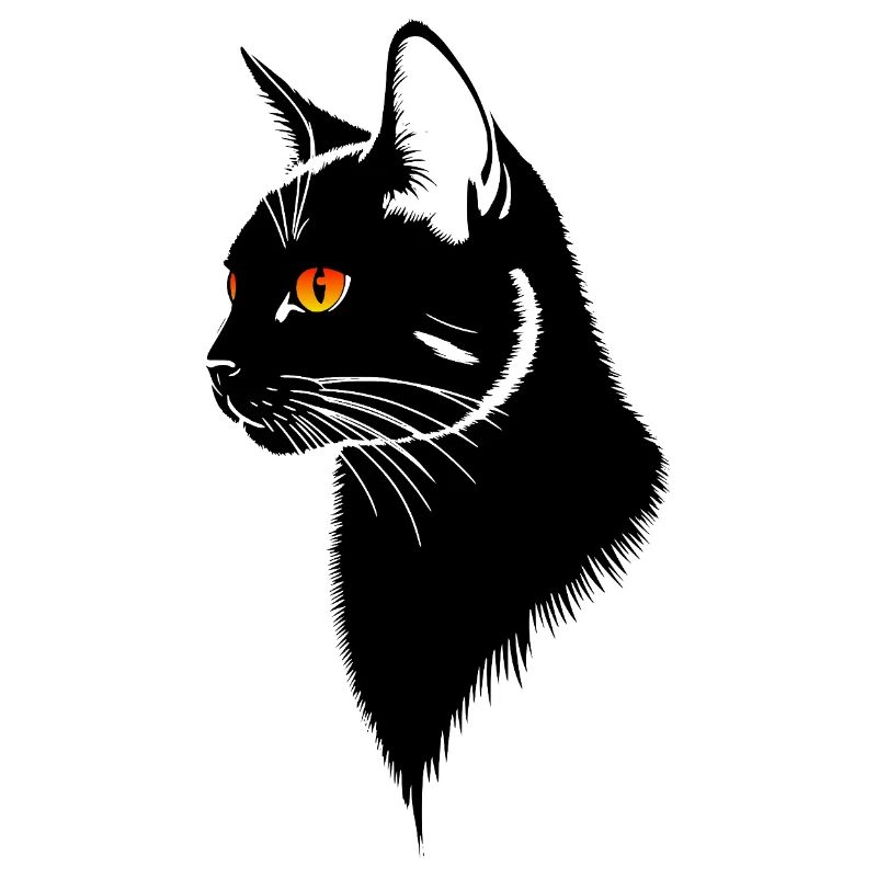Schwarze Katze