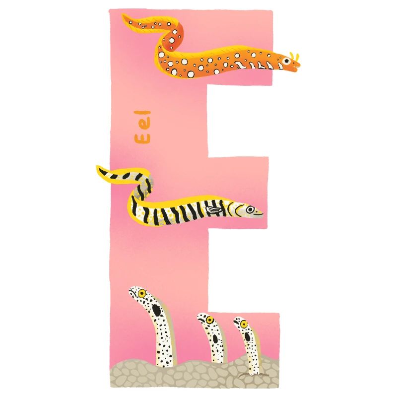 E Alphabet Rosa