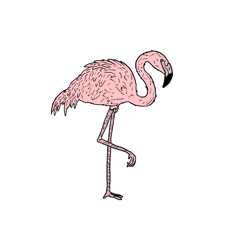 Flamingo - Comicstyle