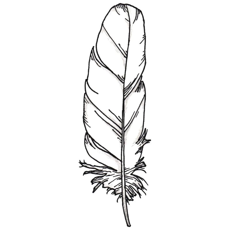 Pen white hand-drawn