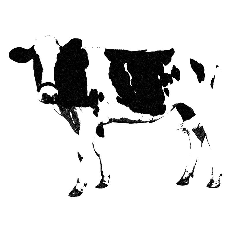 kuh2