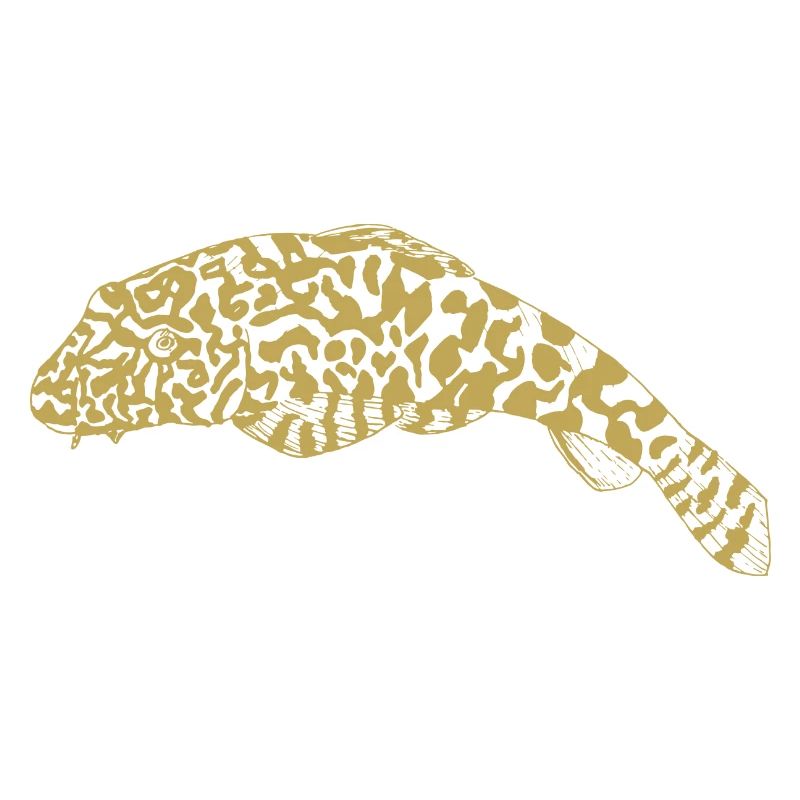 Illustrated designs with fish