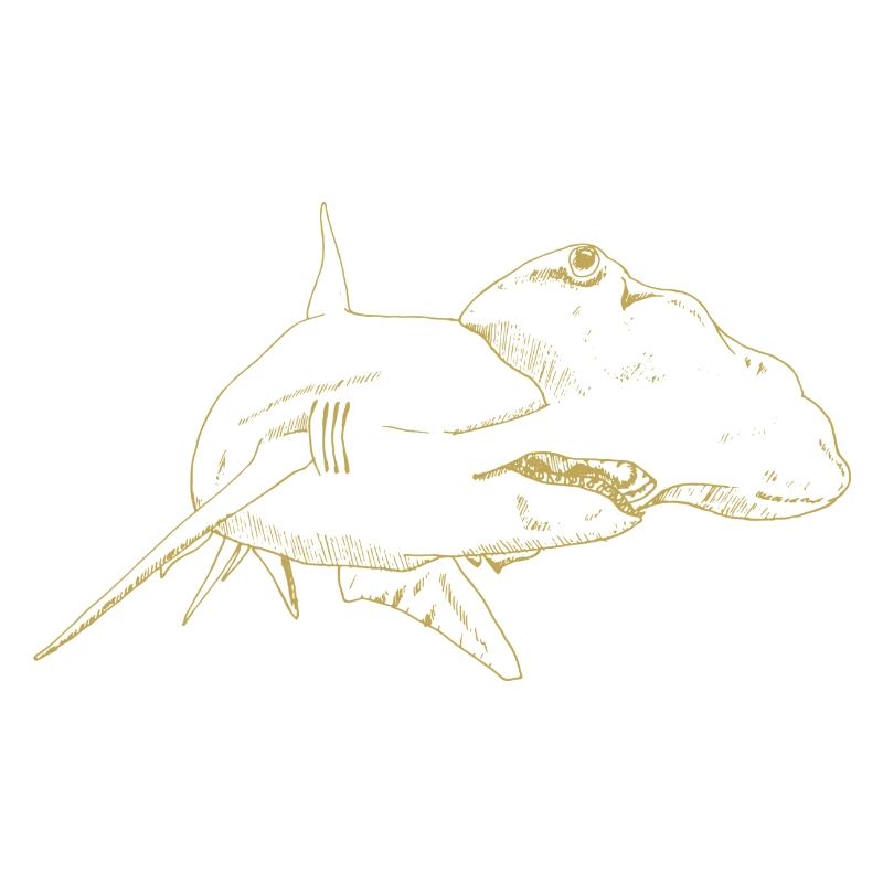 Motifs illustrés avec un requin-marteau