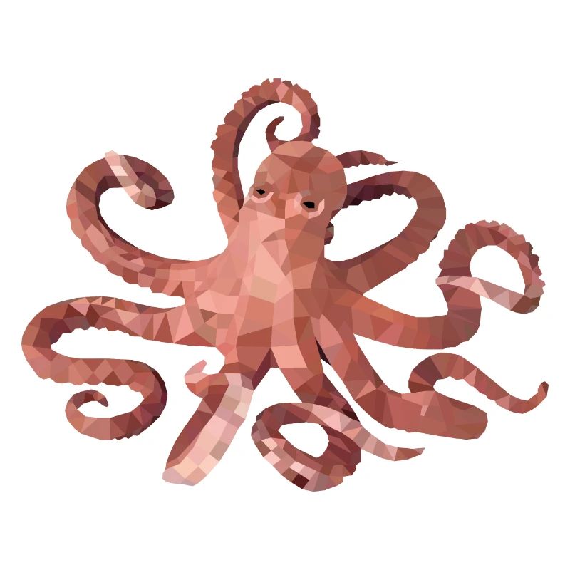 Octopus Octopus Squid Design