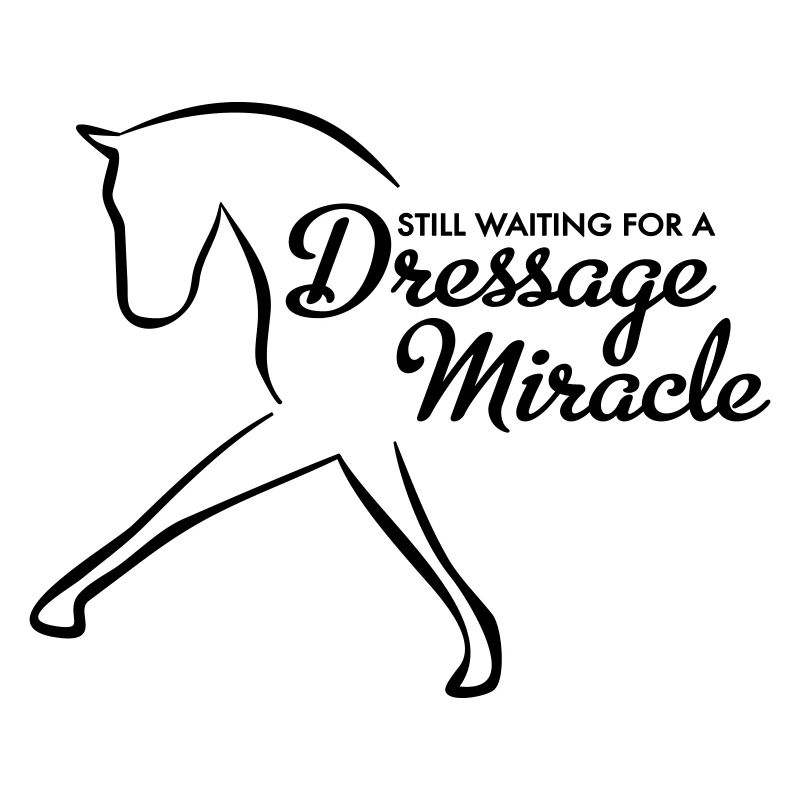 Dressage