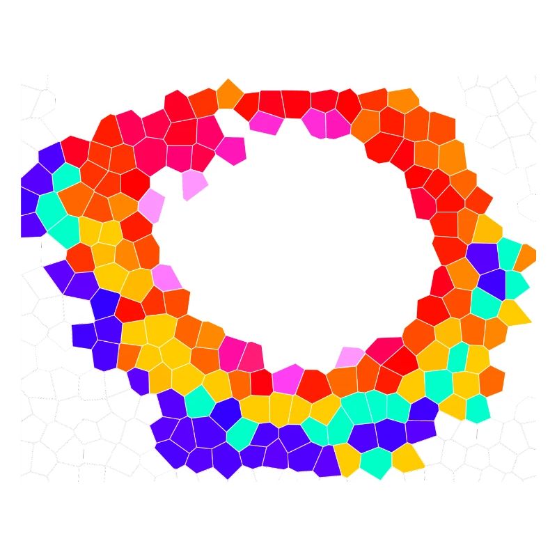 Voronoi Mosaic Orbit
