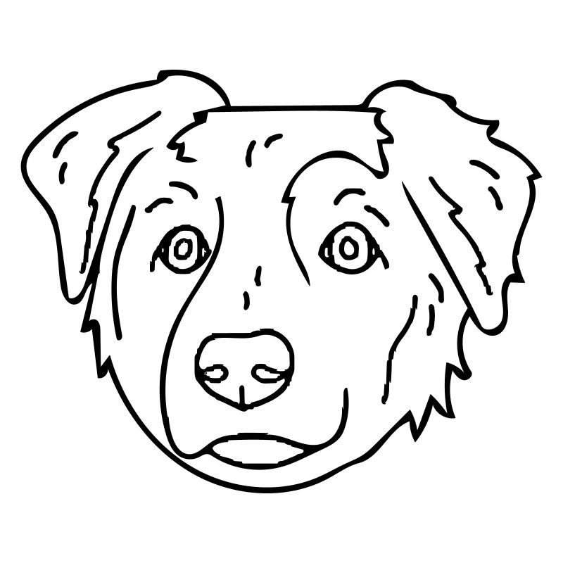 chien