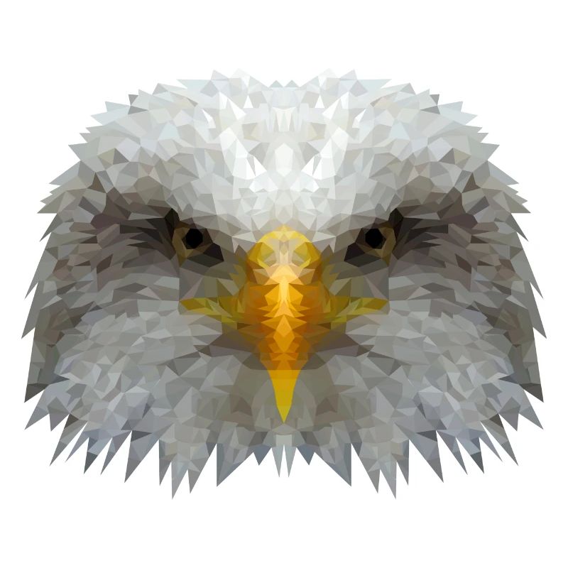 Eagle Polygon