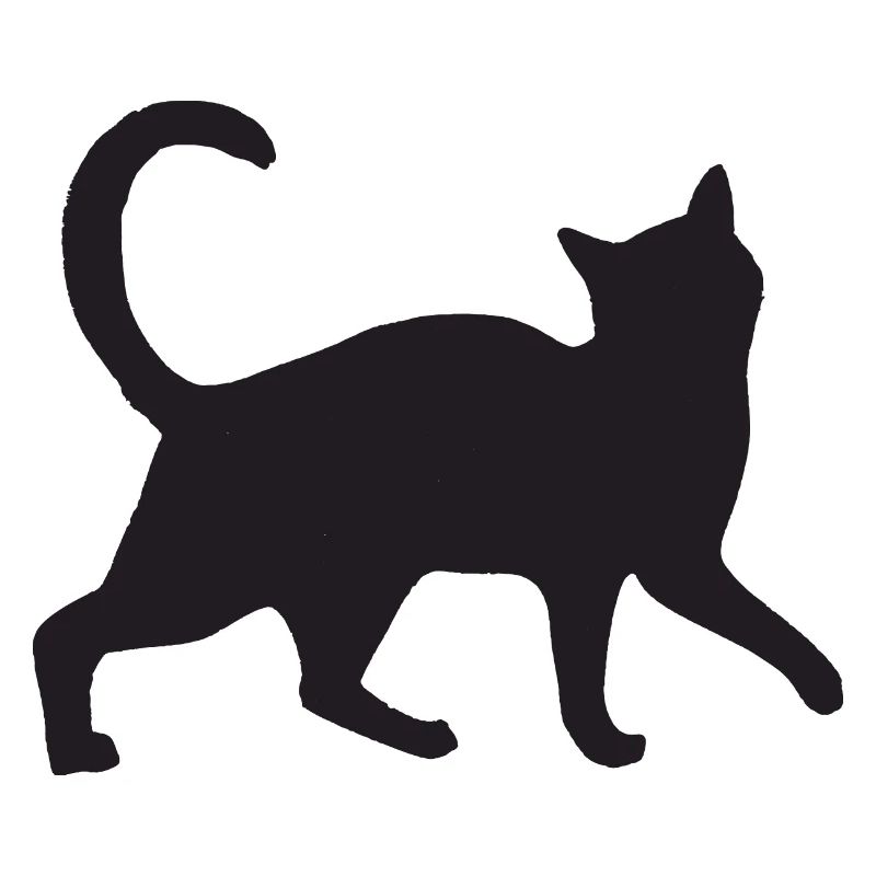 Katze