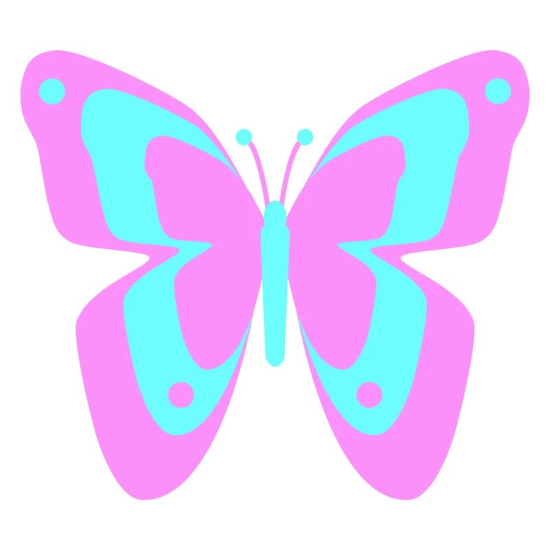 Butterfly Butterfly Insects Spring Summer colorful
