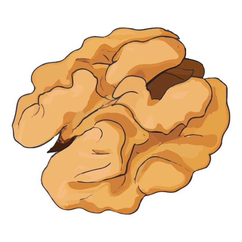 Walnut Illustration Gift Idea Nut Lovers