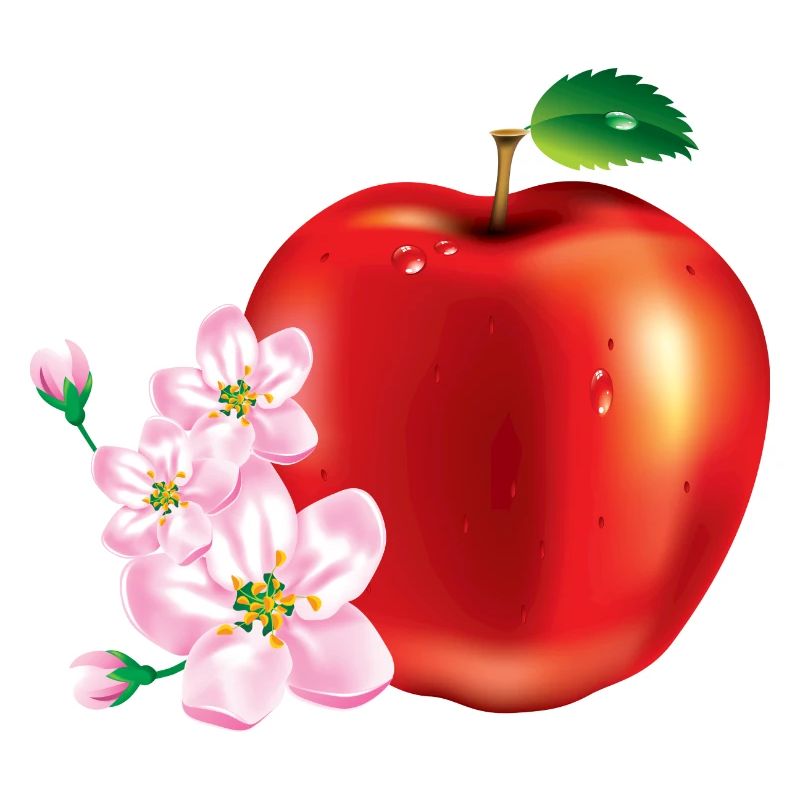 Apple avec la conception de la fleur de cerisier