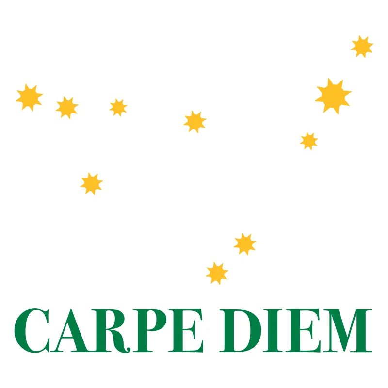 Carpe Diem nutze den Tag Sternbild Steinbock Deneb