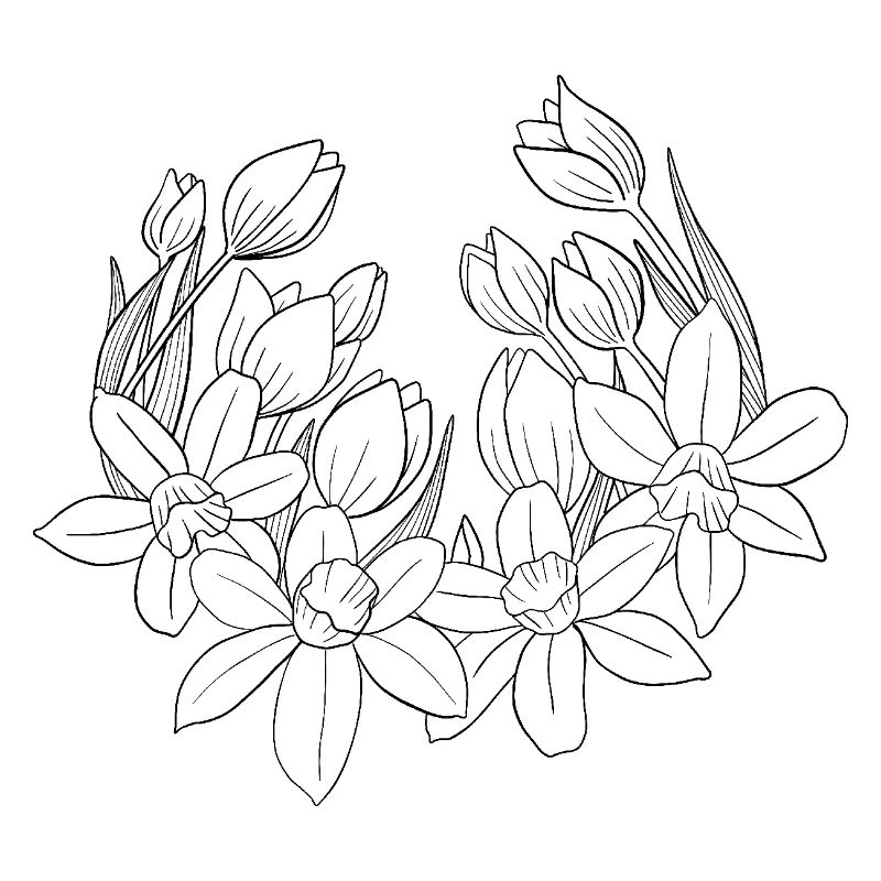 Frühlingsblumen