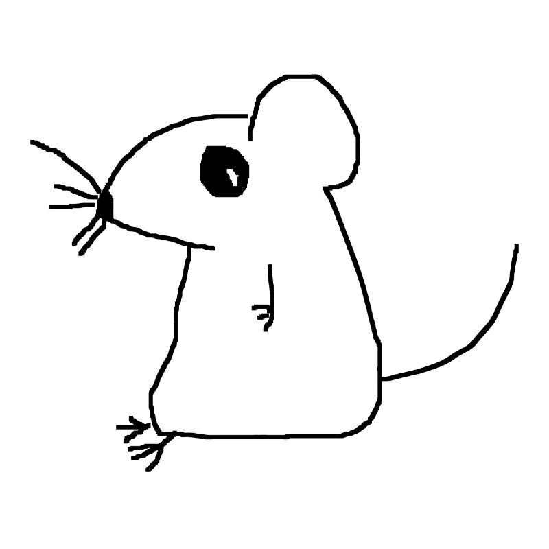 souris
