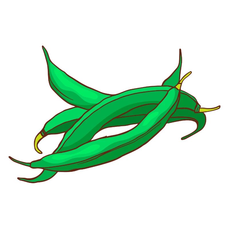 Haricots cire haricots haricots