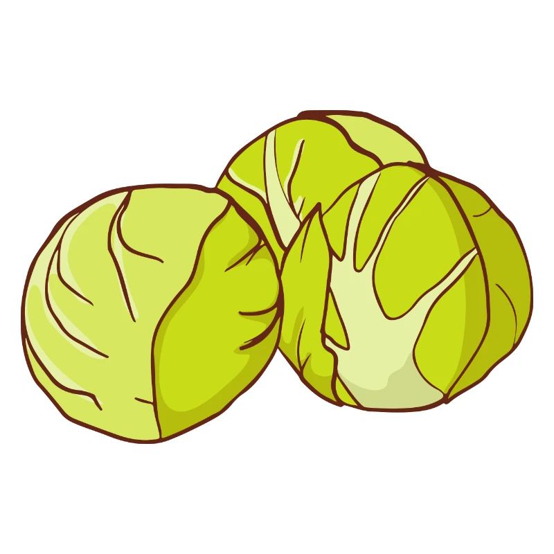 Brussels sprouts Brussels cabbage sprouts cabbage sprouts