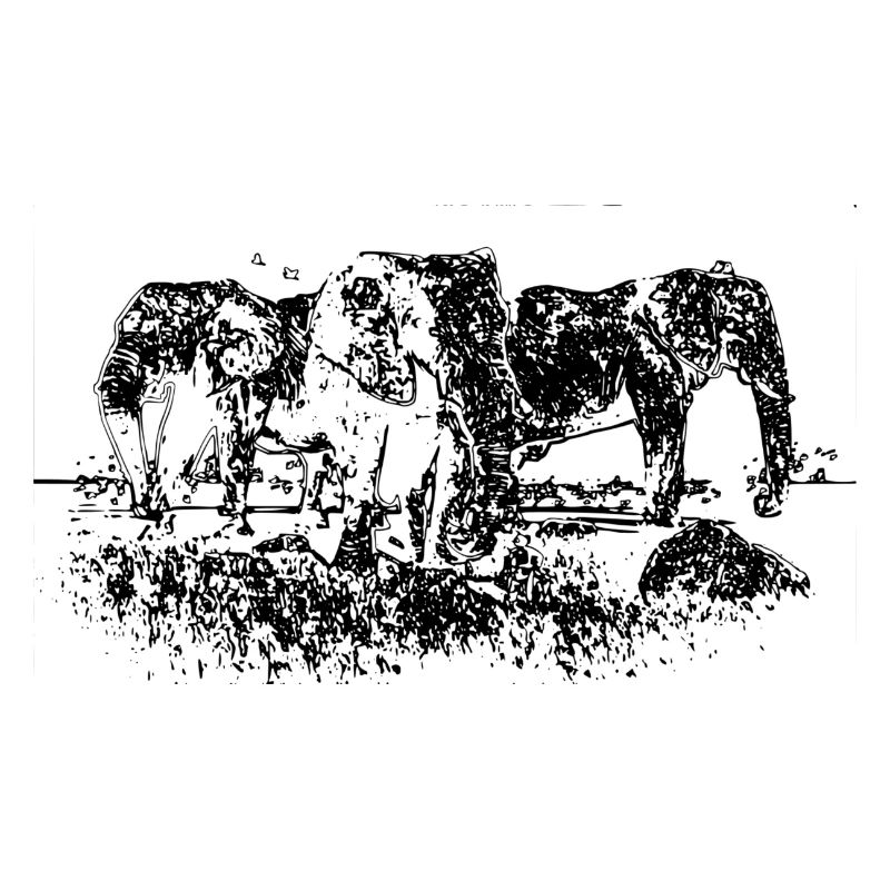 éléphants