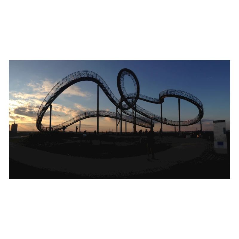 Tiger & Turtle